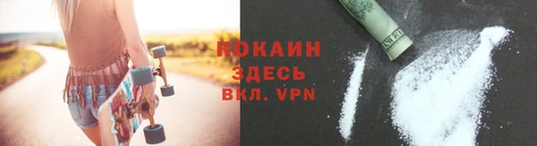 тгк Дмитровск