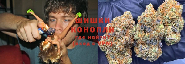 тгк Дмитровск