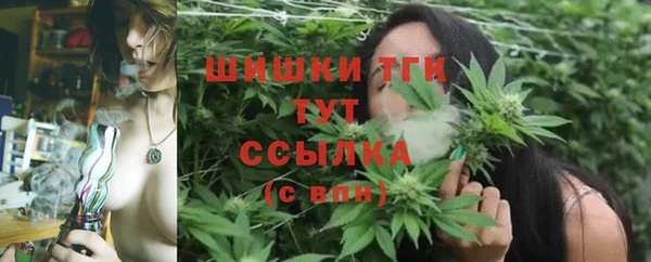 тгк Дмитровск