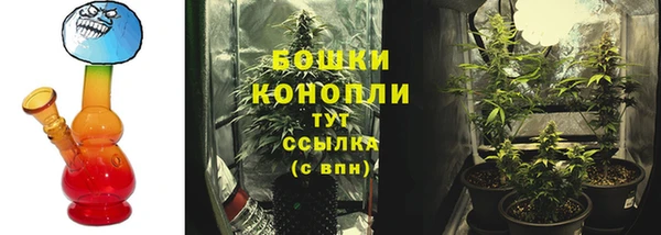 ECSTASY Гусев