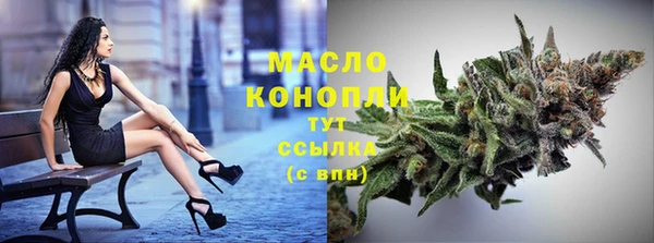 тгк Дмитровск