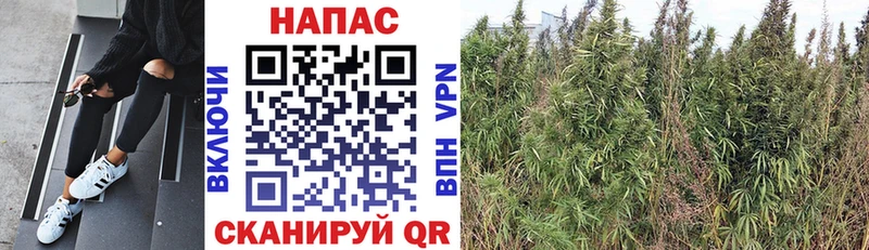 Каннабис Bruce Banner Купить Арсеньев